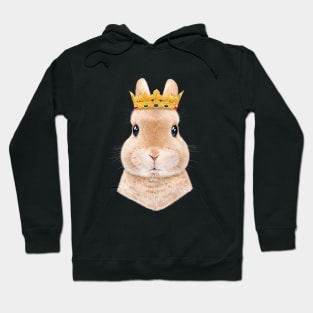 Rabbit princess Hoodie